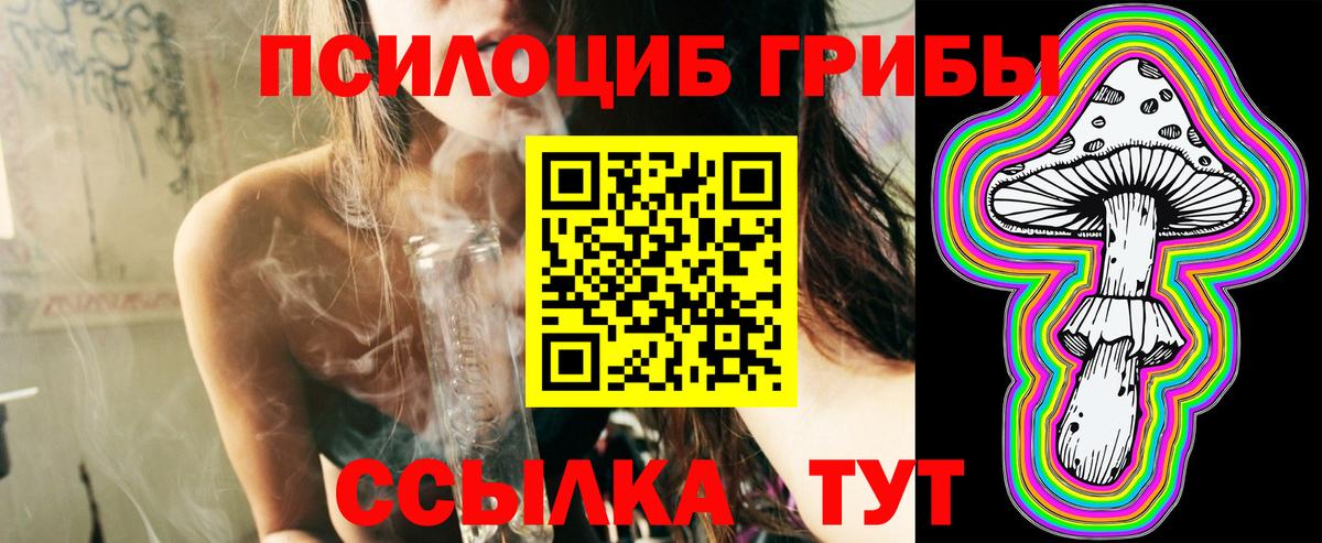 Галлюциногенные грибы мицелий Бердск